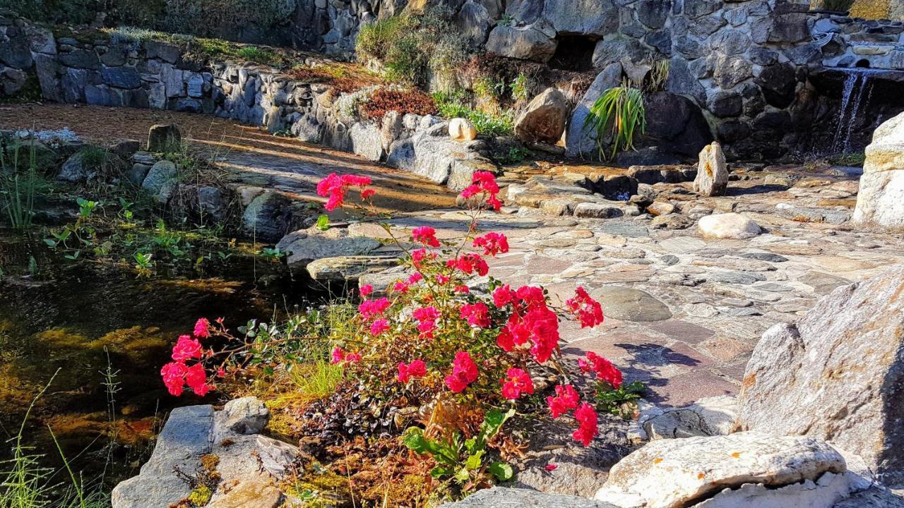 Ferienwohnungen Klimbacher Βόλφσμπεργκ Εξωτερικό φωτογραφία