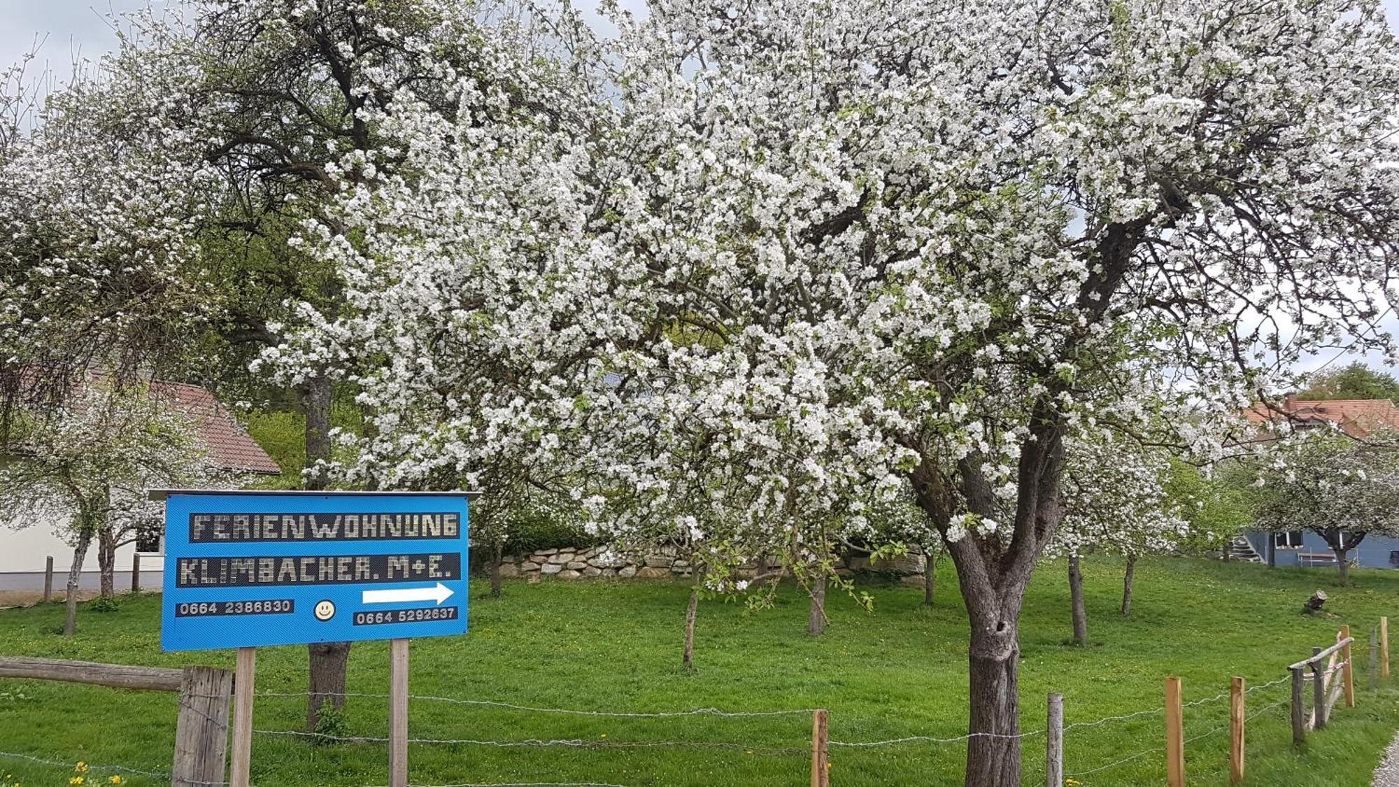Ferienwohnungen Klimbacher Βόλφσμπεργκ Δωμάτιο φωτογραφία